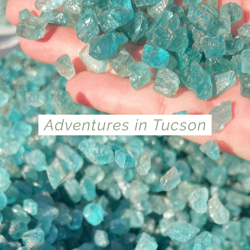 Adventures at the Tucson Gem Show