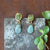 Calm Waters Earrings