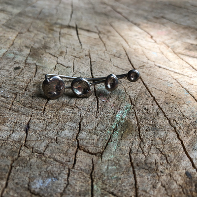 Silver Ear Climber