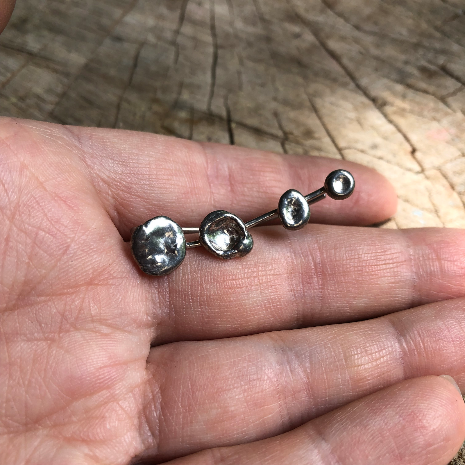 Silver Ear Climber