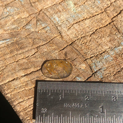 Rutilated Quartz